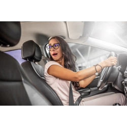 Rückfahrkamera: Sicherheit und Komfort